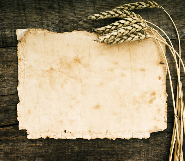 Old paper  with wheat and rye ears - Foto, Bild