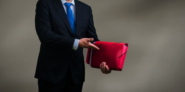 Businessman with documents - 写真・画像