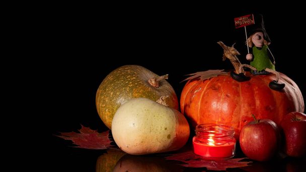 halloween pumpkin and pumpkins on black background - Фото, изображение