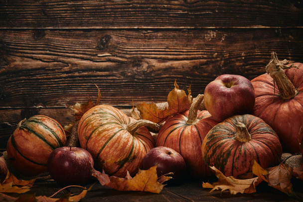 autumn harvest, pumpkins, apples, pumpkin, leaves, thanksgiving - Photo, image