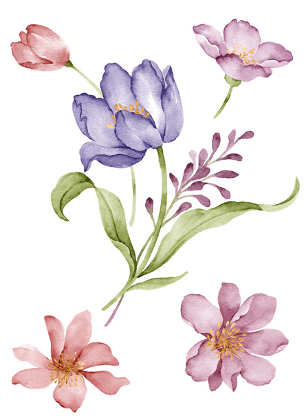 Acquerello fiore illustrazione in semplice sfondo bianco
 - Foto, immagini