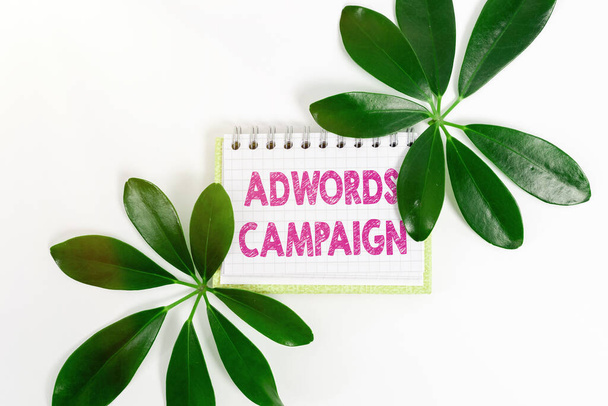 Psaní textu Adwords Campaign. Internet Koncepce strategie pro zacílení správné návštěvníky se správnými klíčovými slovy Úspora životního prostředí nápady a plány, Tvorba udržitelných produktů - Fotografie, Obrázek