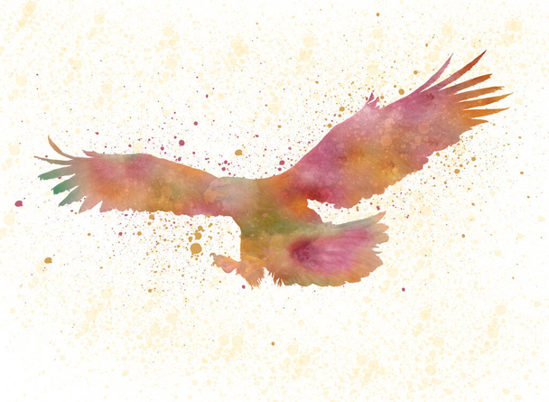 watercolor illustration of a bird - 写真・画像