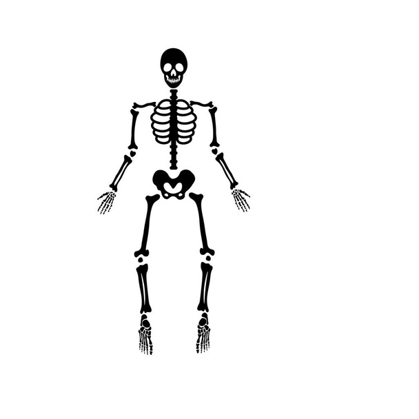 halloween scary bones skeleton - Vector, Image