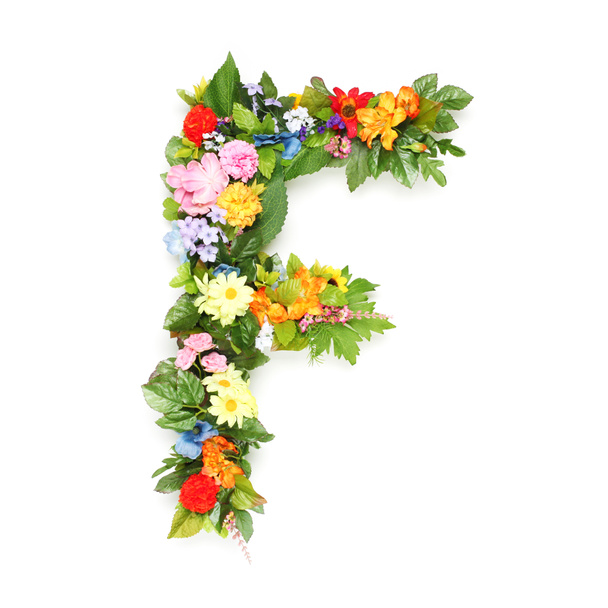 Letters made of leaves and flowers - Foto, afbeelding