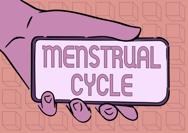 Text showing inspiration Menstrual Cycle. Business showcase monthly cycle of changes in the ovaries and uterus lining Adult Hand Illustration Holding Mobile Showing New Technology On Screen. - Photo, image