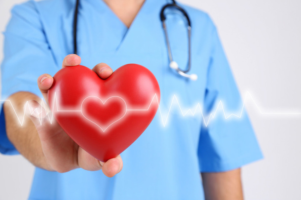 Doctor holding model of heart - Foto, Bild