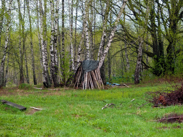 capanna di rami nella foresta, in primavera - Foto, immagini