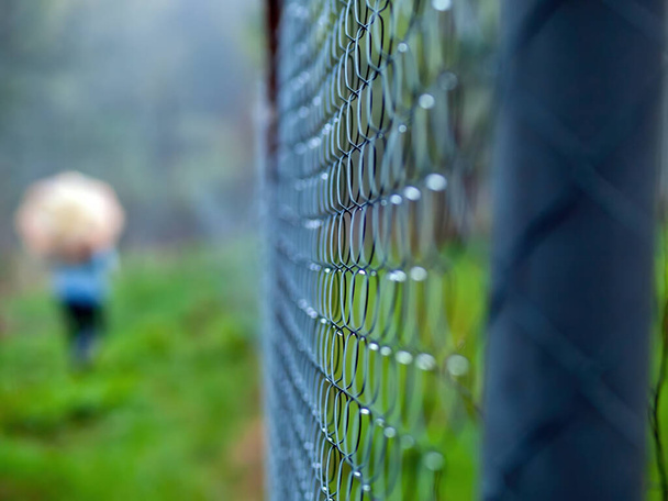 kerítés az elővárosi terület rácsáról, tavasszal - Fotó, kép