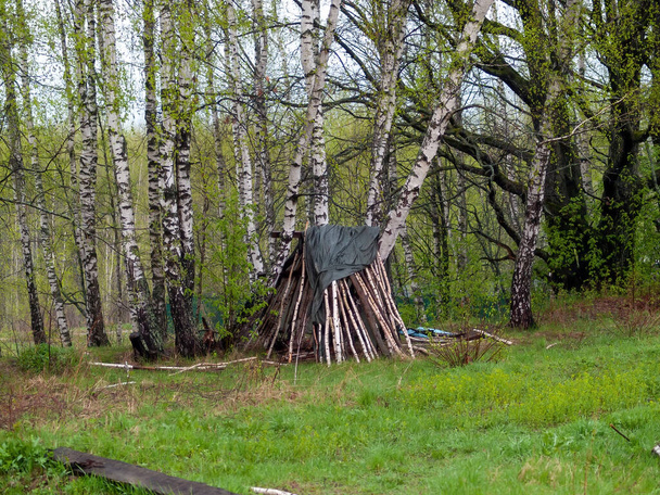 capanna di rami nella foresta, in primavera - Foto, immagini