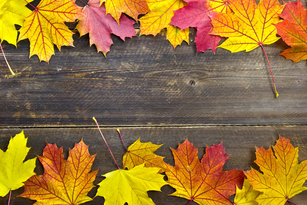 Autumn background - Фото, изображение