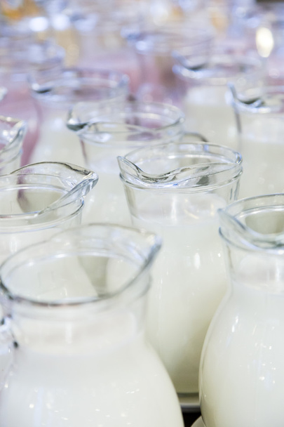 viele Glaskrüge mit Milch und Joghurt - Foto, Bild