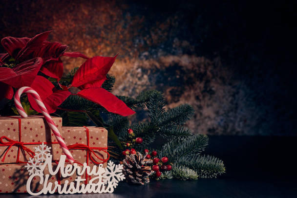 Christmas decoration with Red Poinsettia flowers (Euphorbia Pulcherrima), fir branch and gift boxes on a dark background.  Christmas background with copy space. Greeting card. - Photo, Image