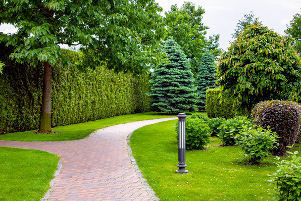 stone tile footpath curve arcing in the park among green plants of evergreen thuja hedges and trees with deciduous bushes and iron ground garden lantern, nobody. - Foto, immagini