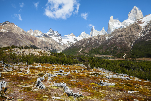 Fitz roy Sıradağları, andes patagonia, Arjantin  - Fotoğraf, Görsel