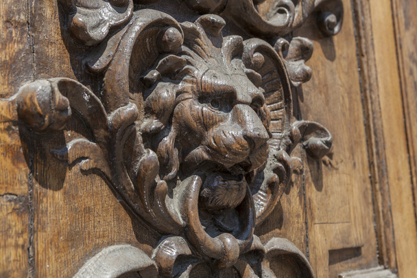 Lion Head - Photo, Image