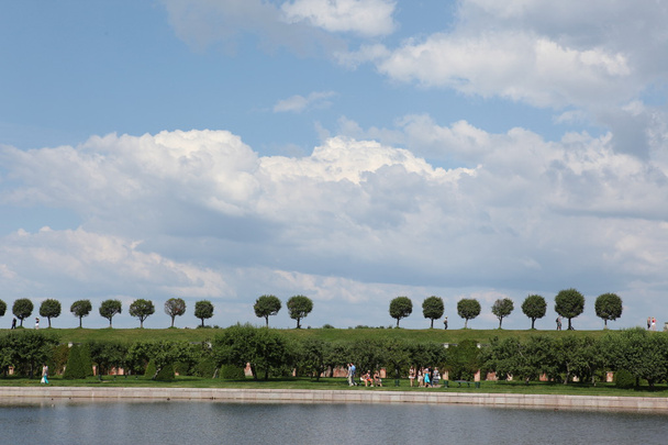 Peterhof panorama - Zdjęcie, obraz
