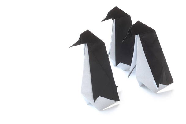 Origami papier ptak na białym tle - Zdjęcie, obraz