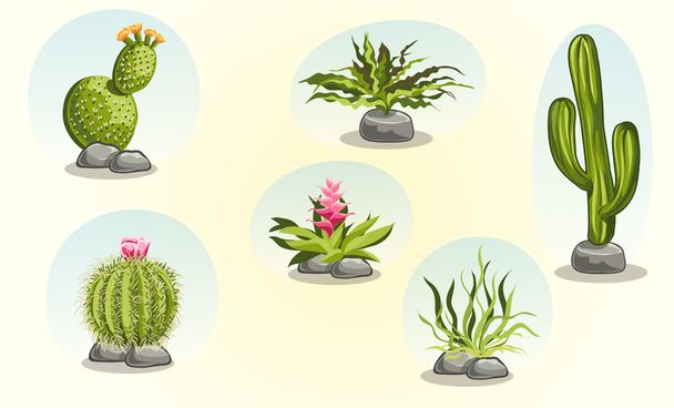Cacti and desert plants - Vector, Image