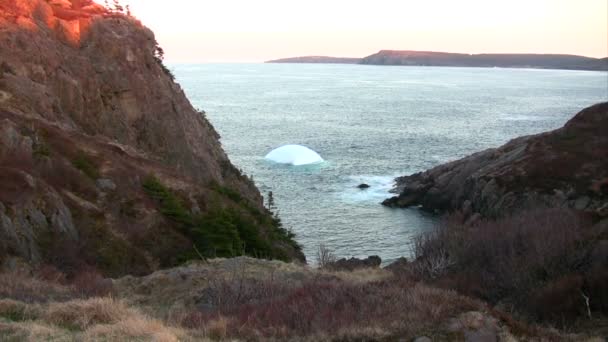 невеликий айсберг на берегову лінію Ньюфаундленду - Кадри, відео