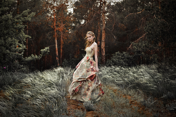 Portrait of woman in fairy forest - Fotoğraf, Görsel