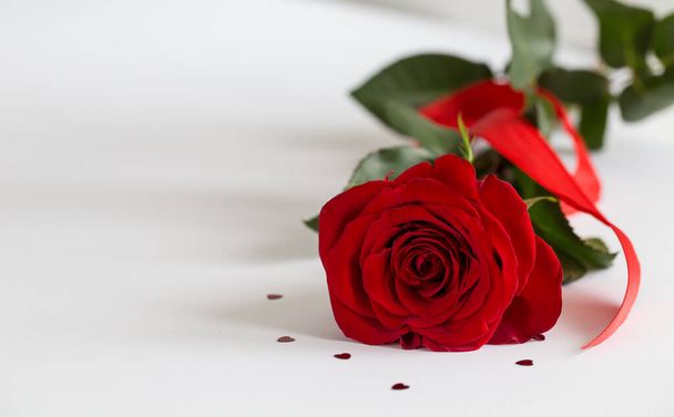 Red roses on white background. Valentines Day background, wedding day. - Фото, изображение