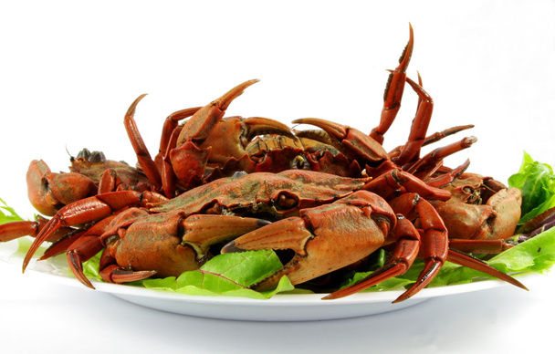 gekochte Krabben - Foto, Bild