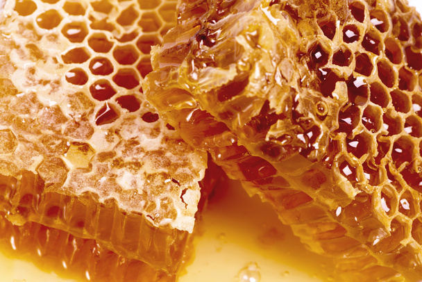 wax honeycombs with honey - close up - Foto, afbeelding