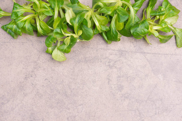 Lambs lettuce on a brown textured stone background, empty copy space for text - Foto, immagini