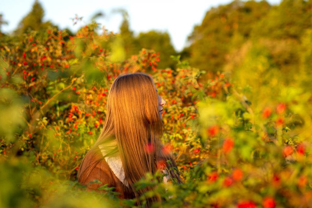Ein helles, warmes Herbstporträt eines jungen kaukasischen Mädchens in einem ledernen Schaffellmantel vor einem Hintergrund aus roten Sträuchern und Hagebuttenbeeren. Eine Frau sonnt sich in den Strahlen der untergehenden Sonne. - Foto, Bild