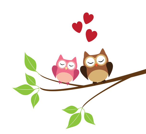 Two Owls - Vector, Image