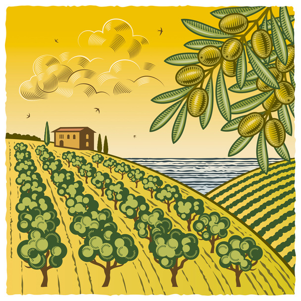 Пейзаж з оливковим гаєм
 - Вектор, зображення
