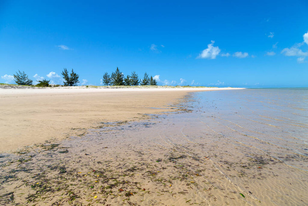 wunderschöner tropischer Strand mit Palmen und blauem Himmel - Foto, Bild