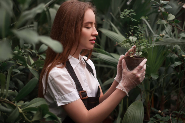 Female garden worker look at seedling growth in pot at the greenhouse. - 写真・画像