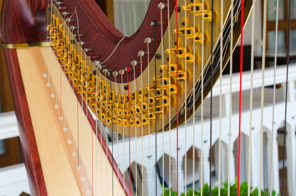 Part of musical instrument called harp - Photo, Image