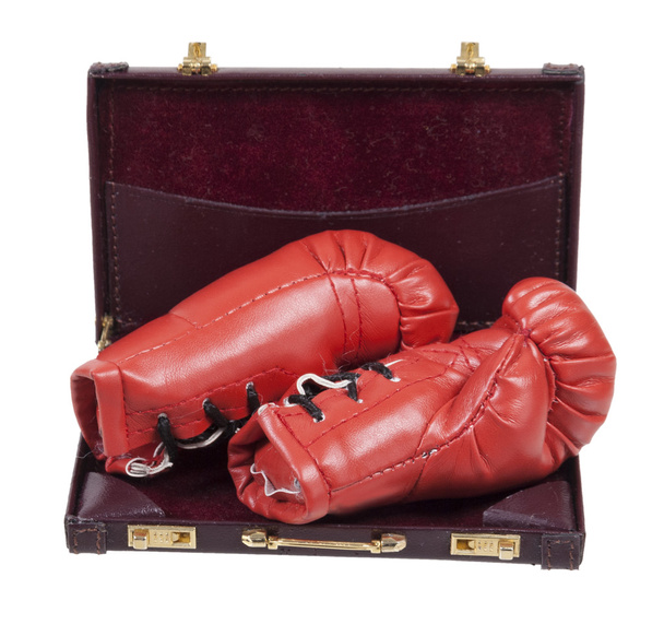 Boxing Gloves in a Briefcase - Foto, Bild