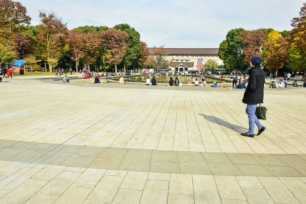 Tokyo, Giappone 27 Novembre 2019 Sfocatura non identificata Molte persone camminano al parco di Ueno e guardano l'albero autunnale nel giardino, foresta autunnale in una giornata di sole. - Foto, immagini