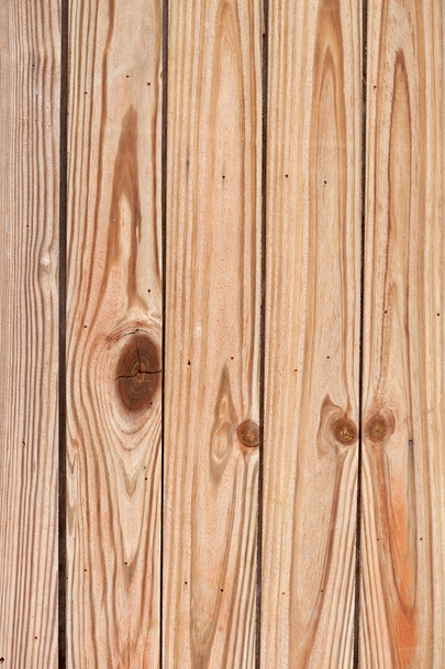 Wood Texture in Vertical - 写真・画像