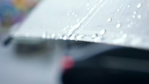 透明な傘の下に流れる雨滴のクローズアップ - 映像、動画