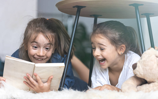 Zwei kleine Schwestern lesen auf einer kuscheligen Decke ein Buch. - Foto, Bild
