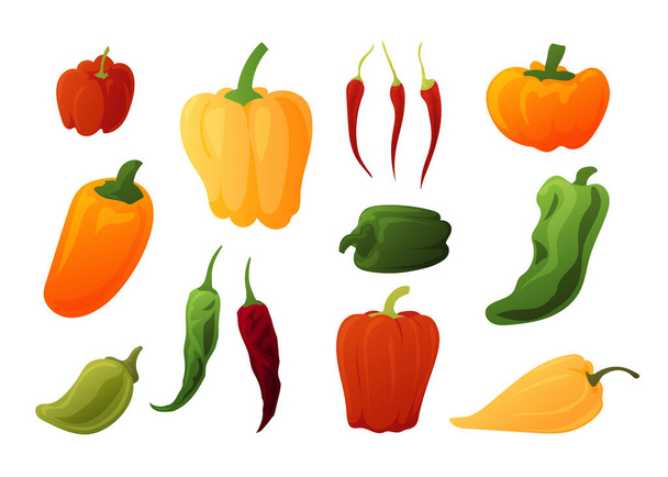 Karikaturenpfeffer. Gesundes Bio-Gemüse. Orangen und roten süßen Paprika. Chilischote und Pimento. Grüner Jalapeno. Isolierte Feldfrüchte. Zutaten der mexikanischen Küche. Vektorgewürz-Set - Vektor, Bild