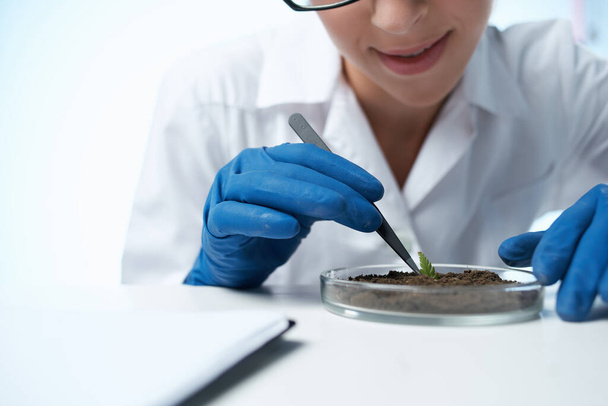 laboratory soil research plants biology science - Фото, изображение