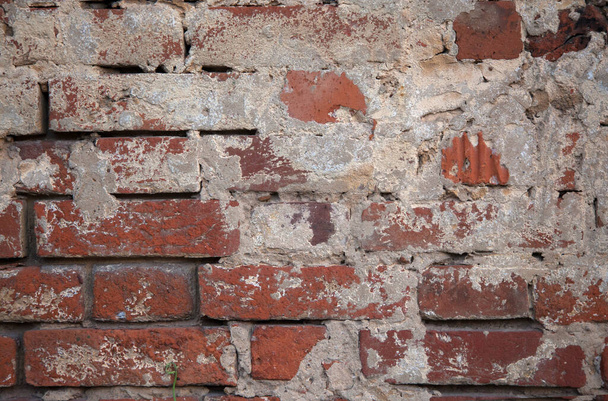 the texture of a red old brick wall with white scuffs and gray cement - Photo, image