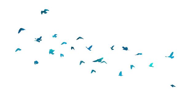 Una bandada de pájaros azules. Ilustración vectorial - Vector, Imagen