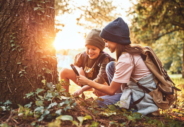 Due bambine in caldi cappelli con zaini che guardano la corteccia dell'albero attraverso una lente d'ingrandimento mentre esplorano la natura e l'ambiente della foresta nella giornata di sole durante la lezione di scuola di ecologia all'aperto - Foto, immagini