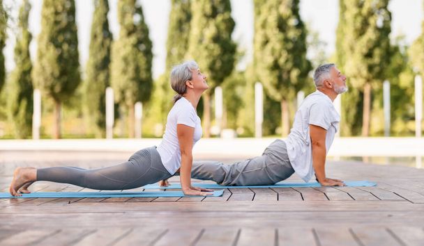 Active mature family man and woman doing yoga exercise stretch their back, taking the cobra pose while exercising in morning on fresh air, senior couple practicing Bhujangasana - Photo, image