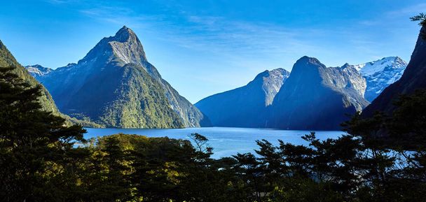 A beautiful view of the trees, mountains and the water in Milford Sound Milford New Zealand - Foto, afbeelding