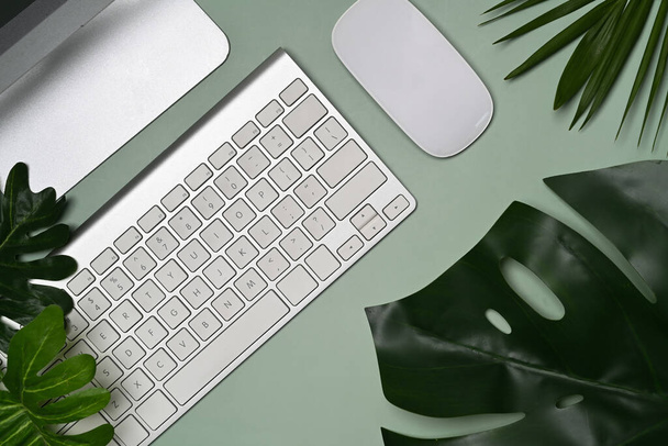 Moderno spazio di lavoro con computer, foglie Monstera e accessori su sfondo verde.  - Foto, immagini