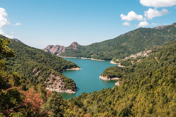 Lac de Tolla e a aldeia de Tolla na Córsega cercada por pinheiros - Foto, Imagem