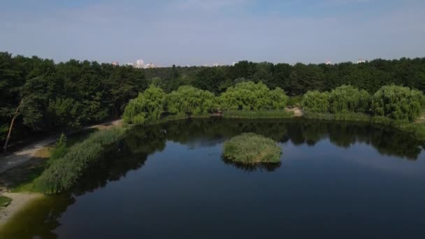 小さな湖の上の空中飛行、木々や植物に囲まれた池の澄んだターコイズブルーの水をご覧ください。夏の日の手つかずの自然  - 映像、動画